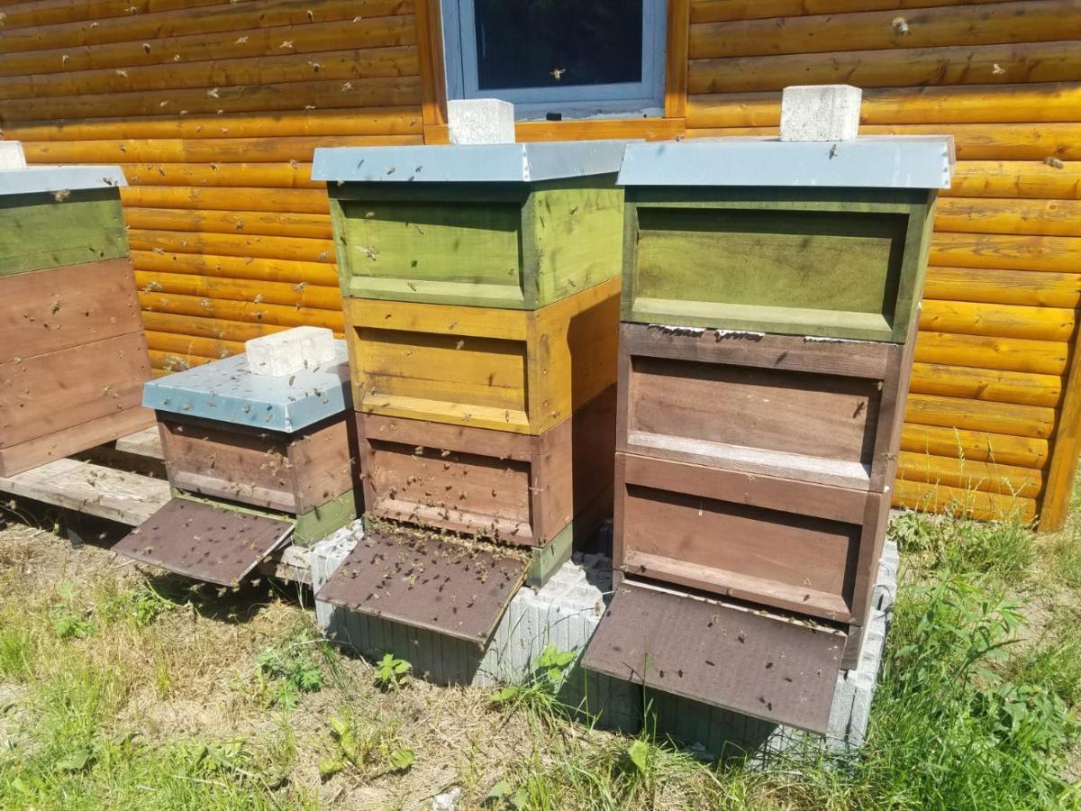 Ferienhaus Zum Imker Velten Eksteriør billede