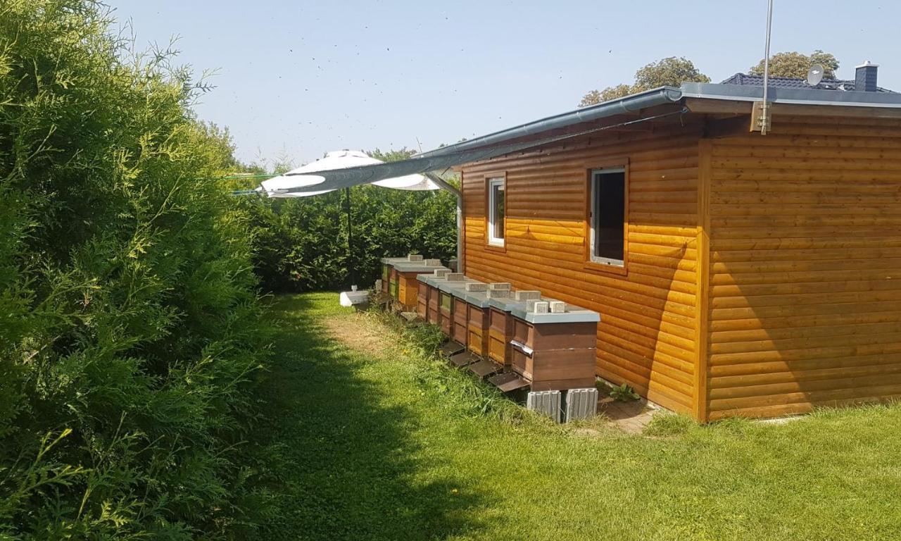 Ferienhaus Zum Imker Velten Eksteriør billede